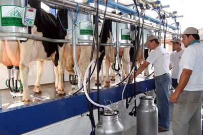 Gestores da cadeia produtiva do leite visitam a regio de Cceres