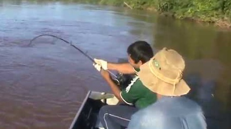 Pesca est liberada nos rios de MT, mas continua proibida nos 17 rios de divisa