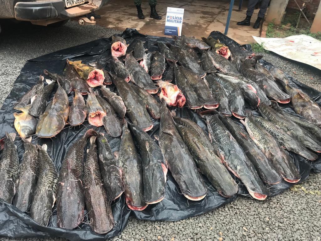Casal  preso transportando 400 kg de pescado irregular