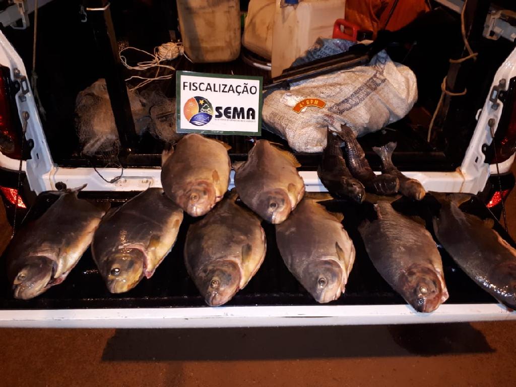 Sema apreende 38,6 kg de pescado   irregular e espingarda em Pocon