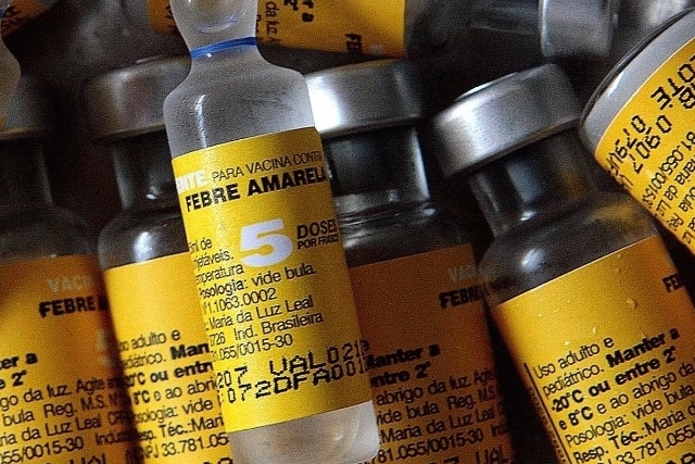 Casos confirmados de Febre Amarela alertam  para importncia da vacinao como preveno